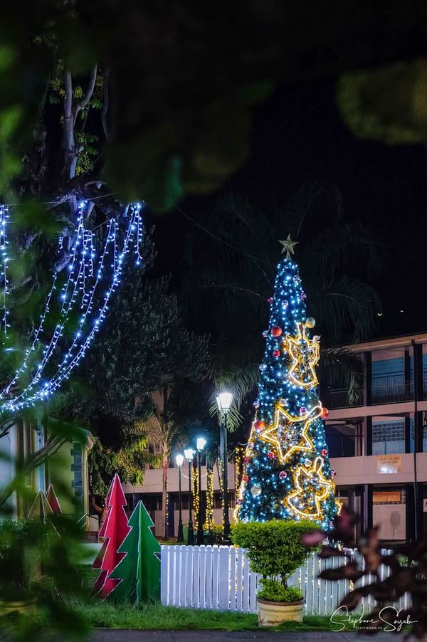 2025 est derrière nous…Et franchement, je ne vais  - Photo 11