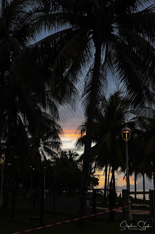 2025 est derrière nous…Et franchement, je ne vais  - Photo 5