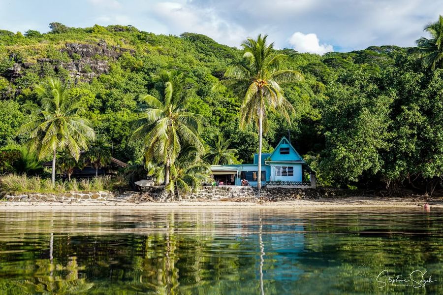 Quand je regarde ces photos de Moorea que j’ai pri - Photo 2