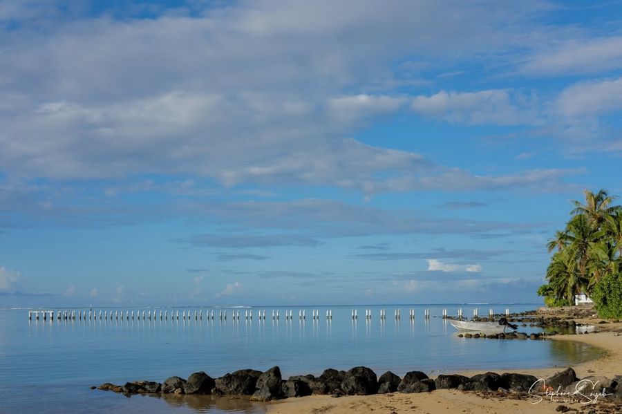 Quand je regarde ces photos de Moorea que j’ai pri - Photo 6