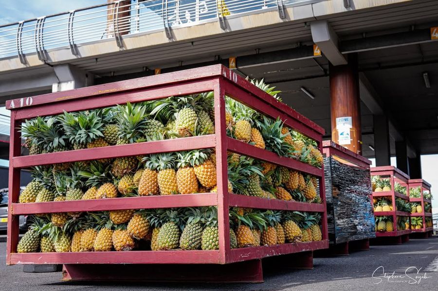 Ce matin, le cœur battant au rythme de l’océan, je - Photo 2