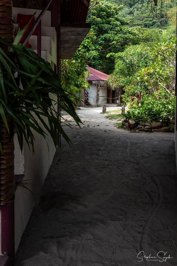 Ce matin, le cœur battant au rythme de l’océan, je - Photo 11