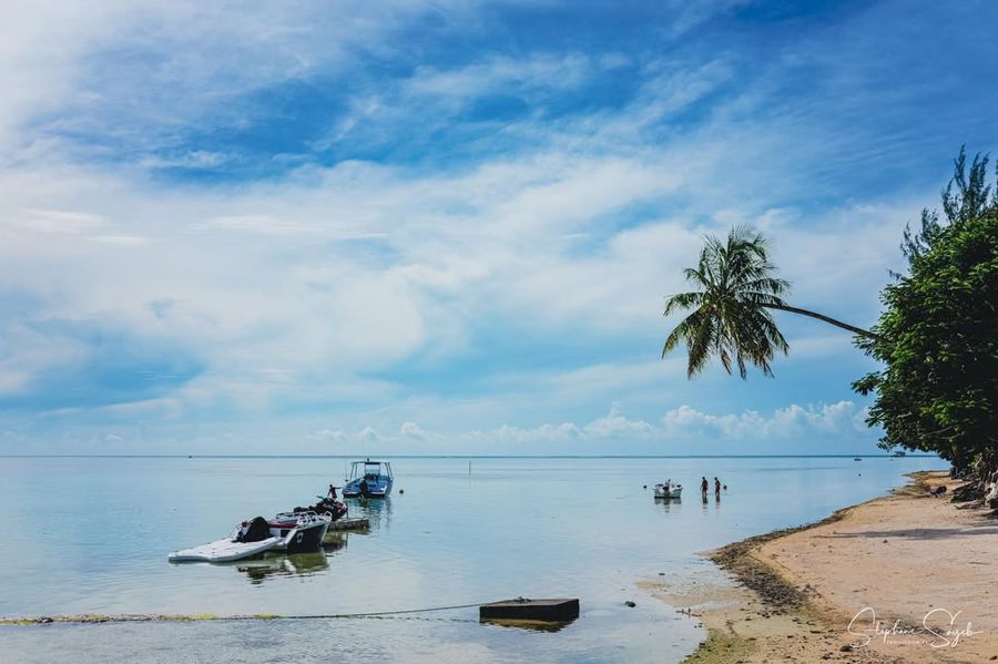 Ce matin, le cœur battant au rythme de l’océan, je - Photo 3