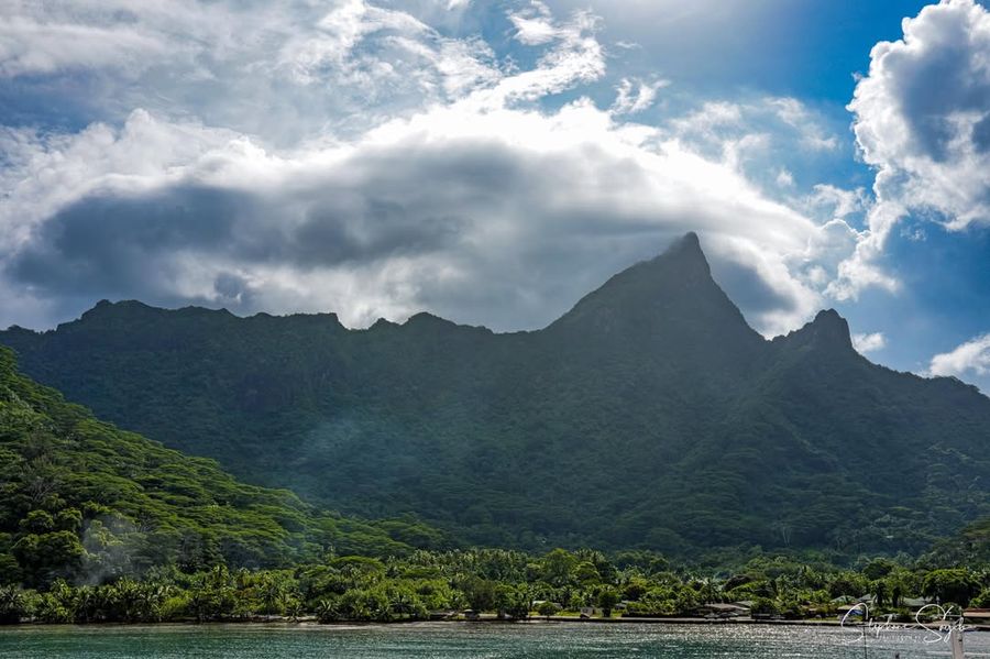 Ce matin, le cœur battant au rythme de l’océan, je - Photo 4