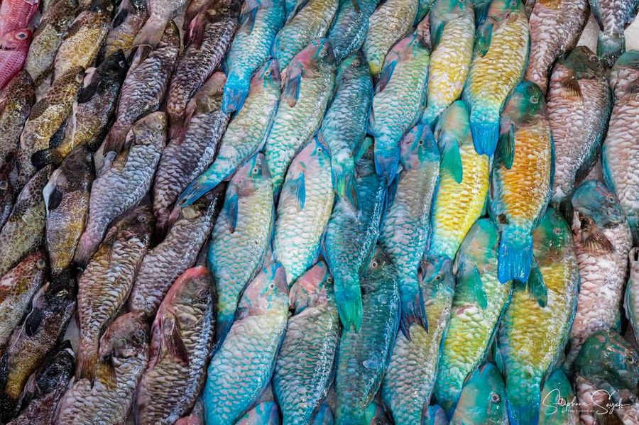 Sous un ciel qui sourit enfin, le marché de Papeet - Photo 6
