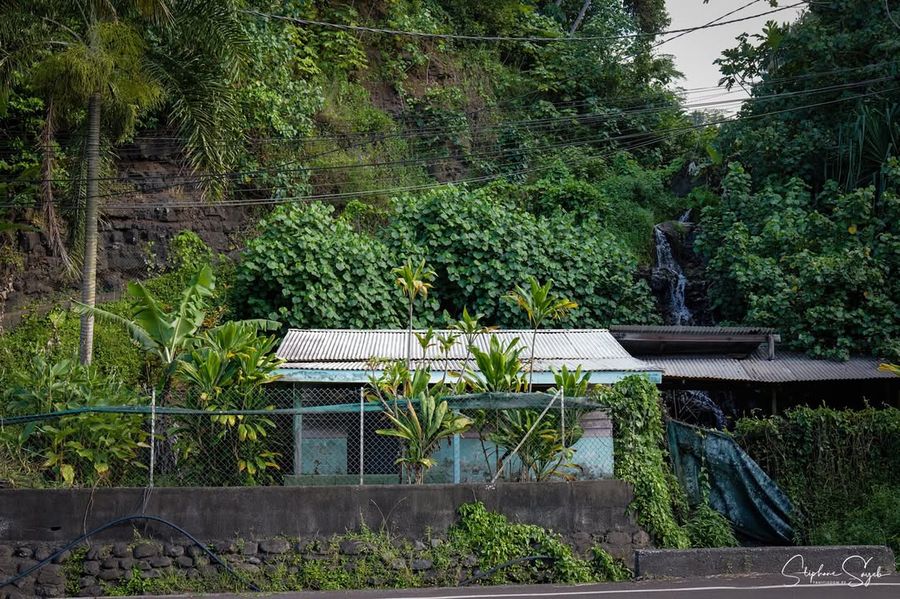 De Faa’a jusqu’aux rivages sauvages de Papenoo, la - Photo 5